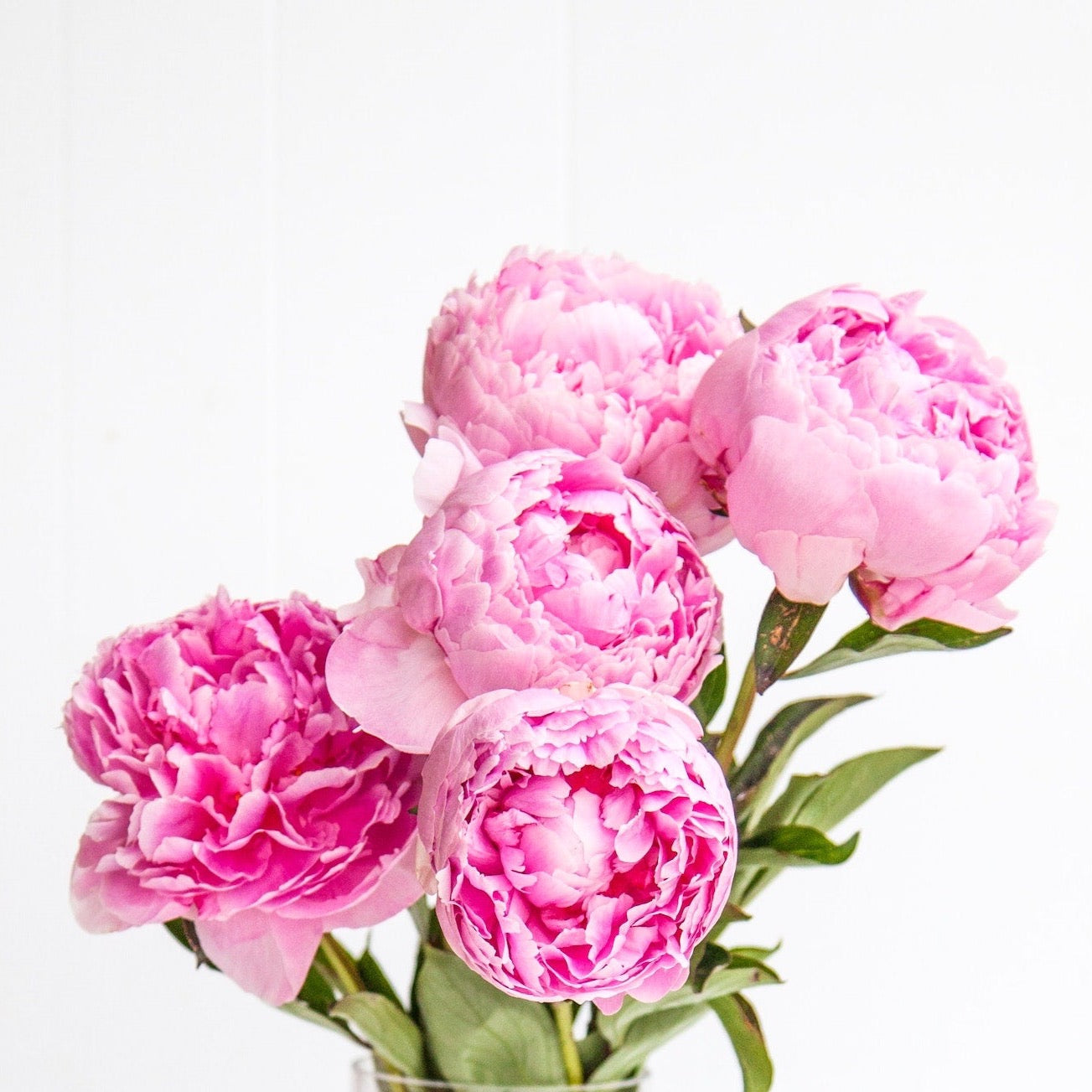 Colorful Peony Bouquet - 5-stems - Mother's Day Flowers in Lander, WY