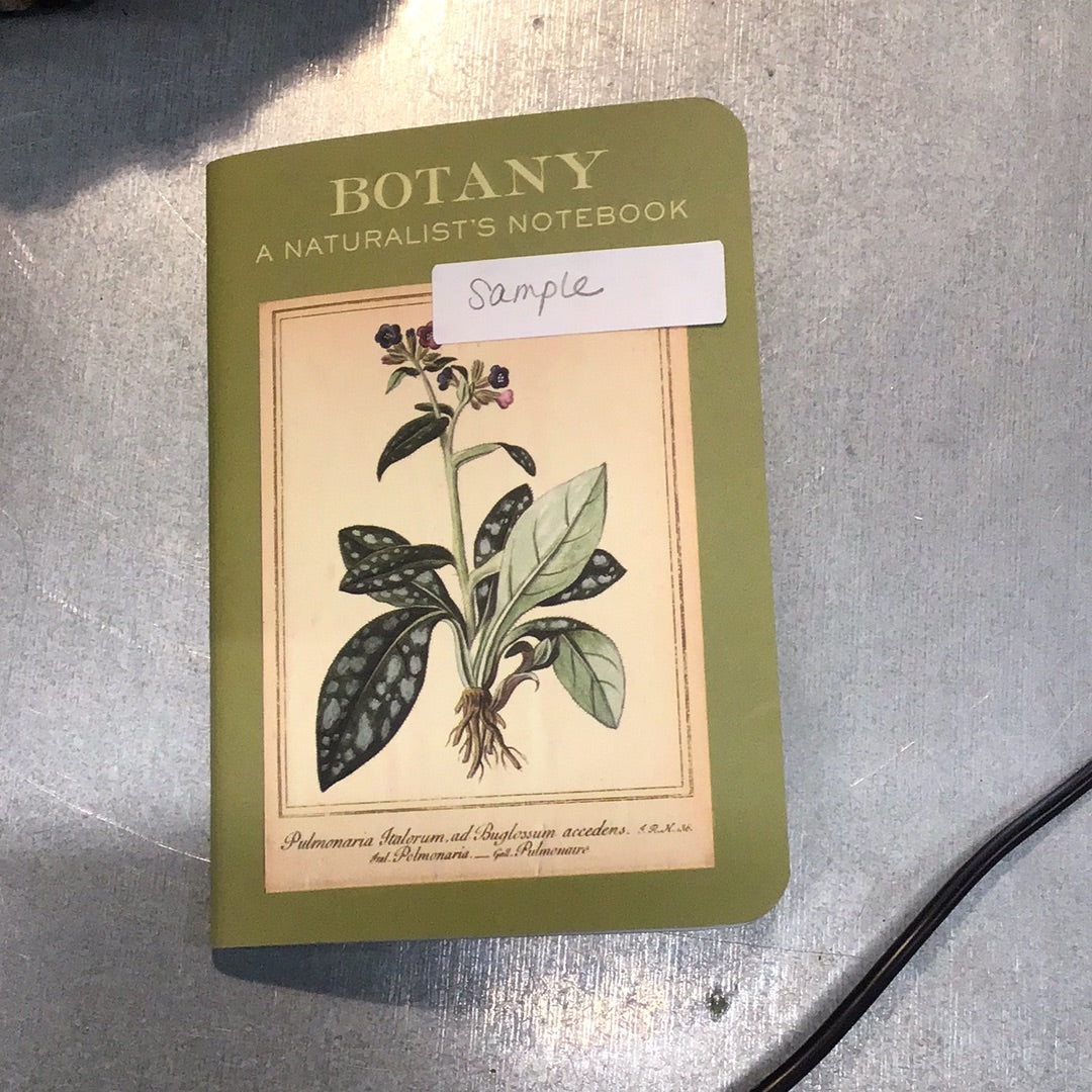 Botany A Naturalist’s Notebook
